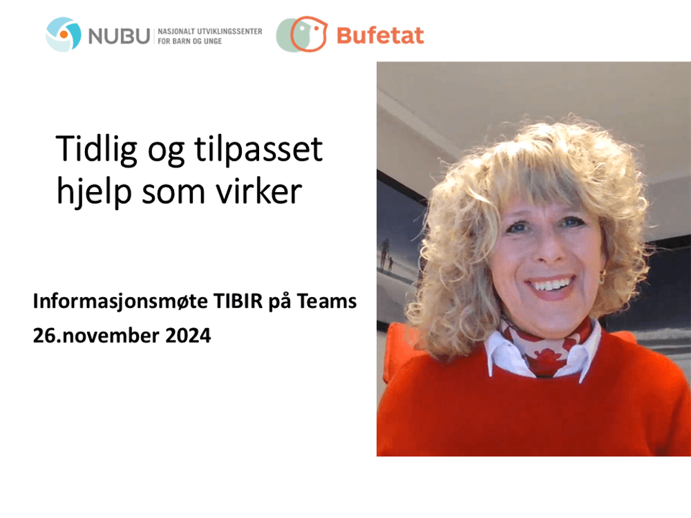 Skjermbilde fra presentasjon